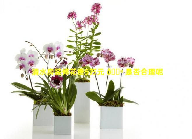 清水房装修花费5万元 🌺 是否合理呢